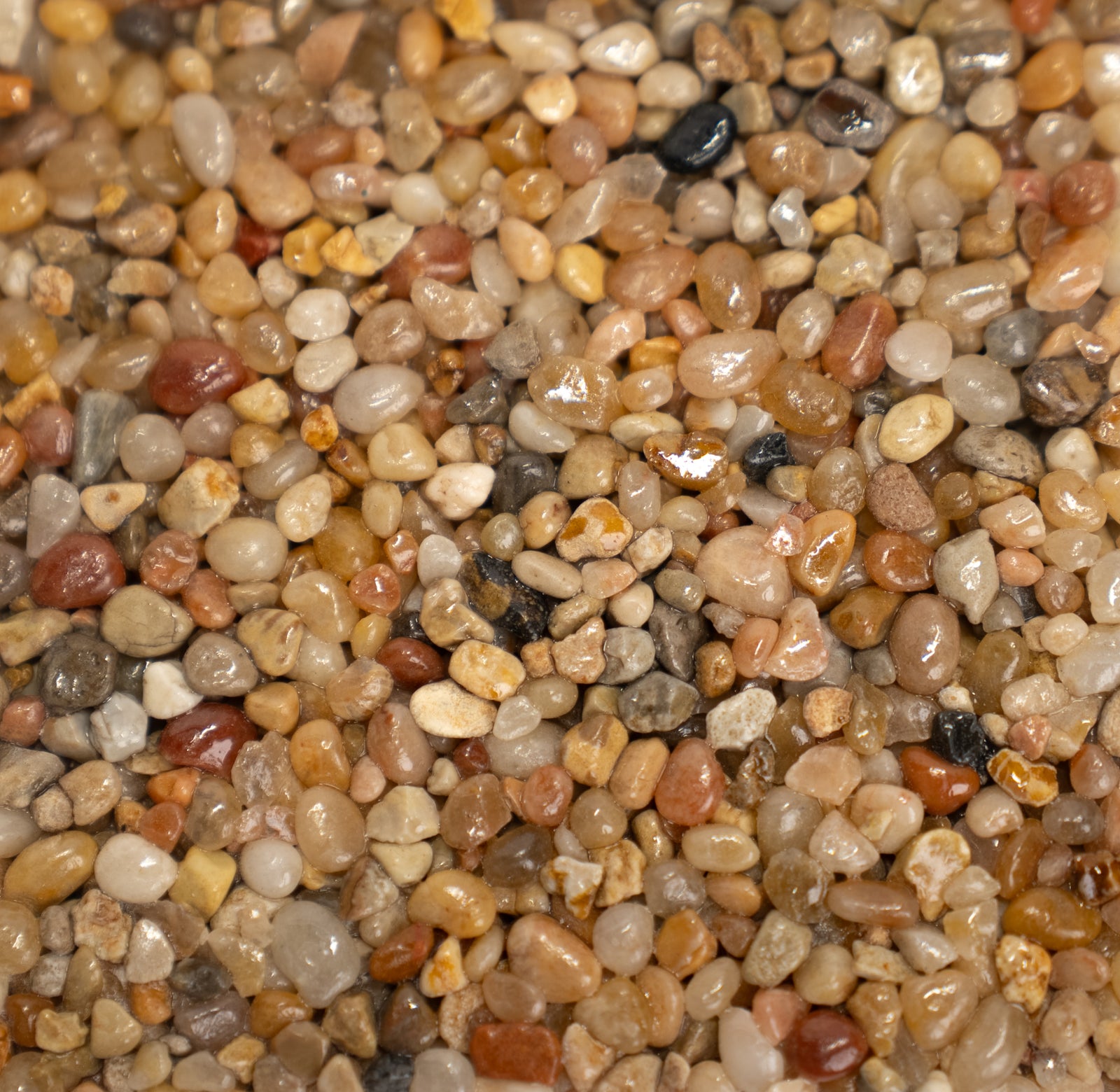 Close-up of multicolored pebbles with a gradient effect