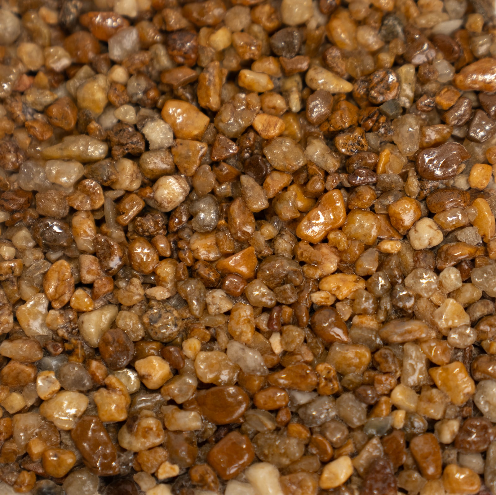 Close up image of small tan, beige and darker reddish brown stones.