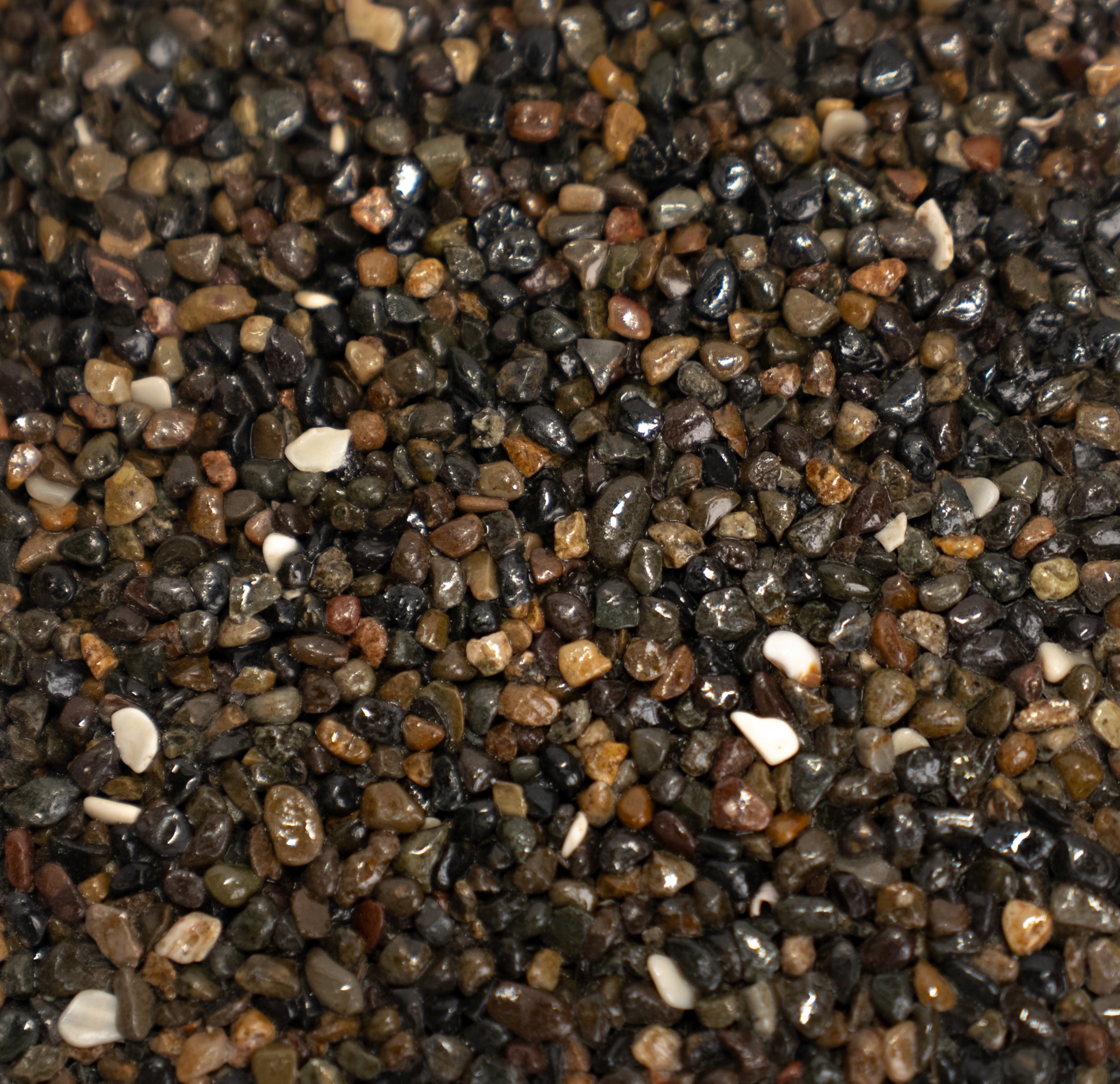Close-up of small pebbles in various dark colors with a few light colors to contrast and pop.