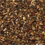 Razorback Red Razorback Red